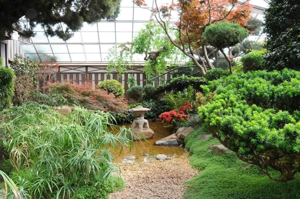 Garden trees and planting